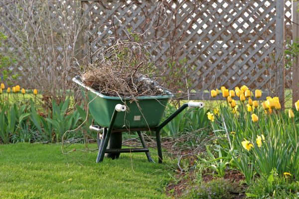 Flower Bed Cleanup Service in Murrells Inlet
