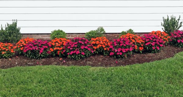 Flower Bed Weeding Service in Murrells Inlet