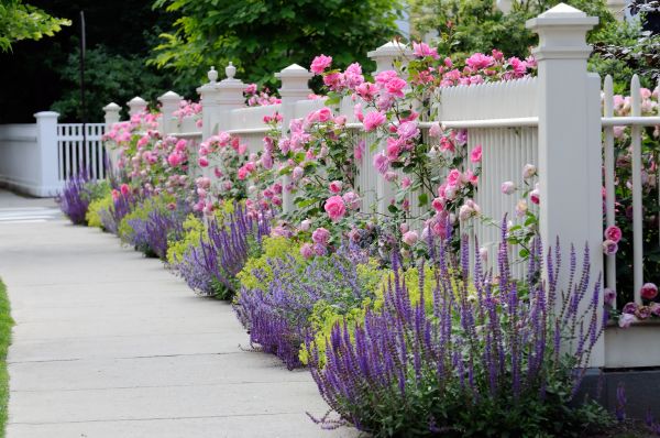 Garden Handyman Service in Murrells Inlet