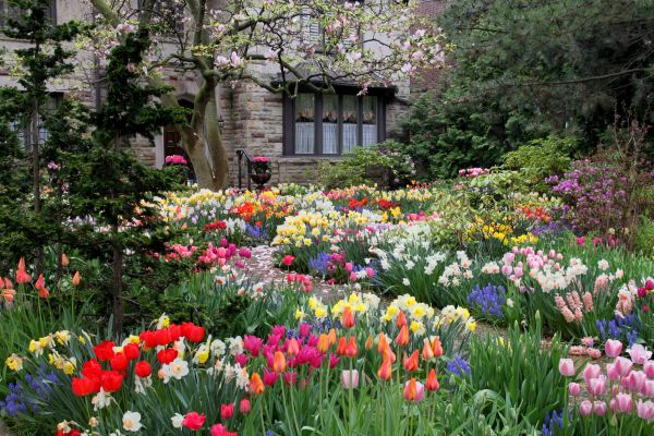 Garden Maintenance Service in Murrells Inlet
