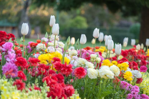 Gardening Service in Murrells Inlet