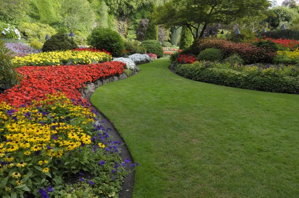 Landscaping Maintenance in Murrells Inlet