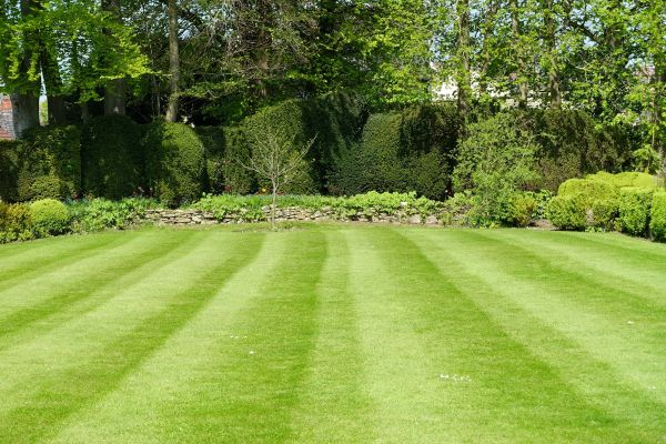 Lawn Renovation in Murrells Inlet
