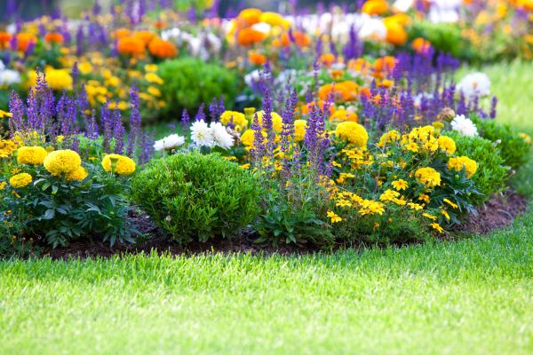 Garden Installation in Murrells Inlet