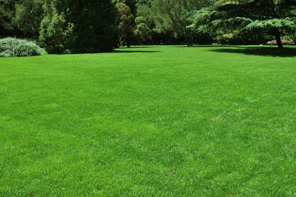 Lawn Landscaping in Murrells Inlet