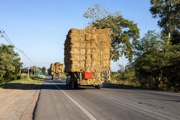 Pine Straw Delivery in Murrells Inlet