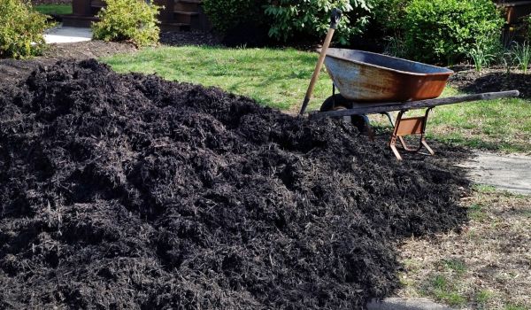 Black Mulch Delivery in Murrells Inlet