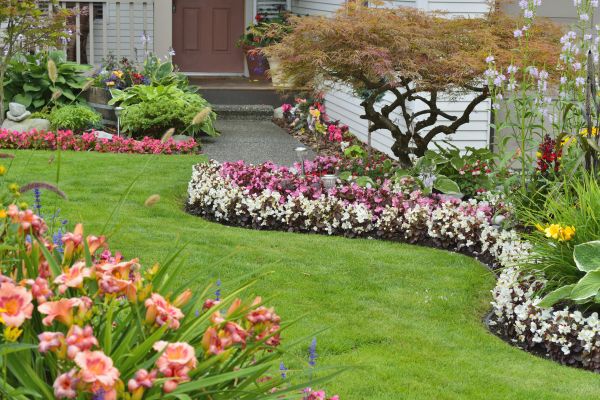 Perennial Landscaping in Murrells Inlet
