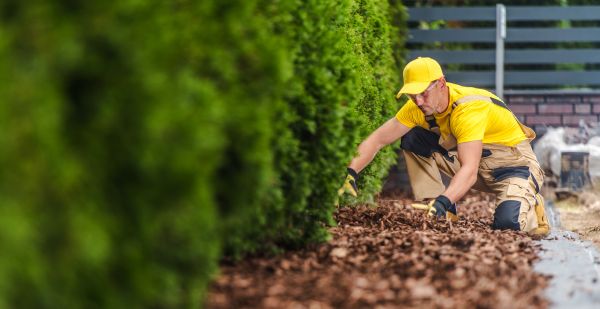 Cypress Mulch Installation in Murrells Inlet