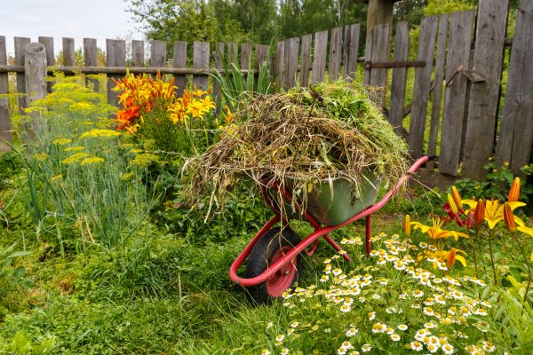 Garden Cleanup Service in Murrells Inlet