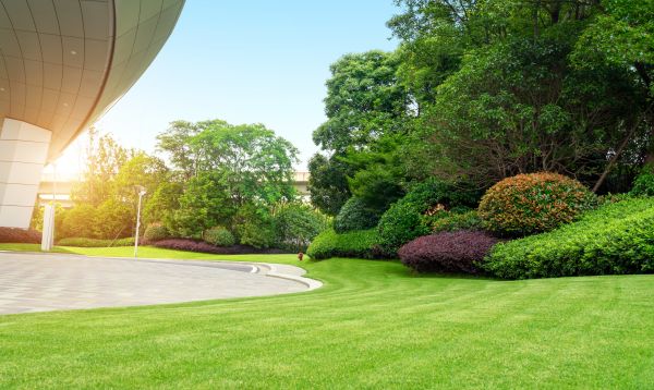 Business Landscape Design in Murrells Inlet