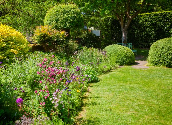 Yard Landscaping Service in Murrells Inlet