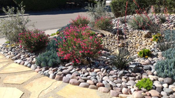 Xeriscape Landscaping in Murrells Inlet