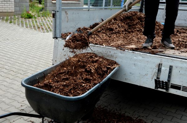 Landscape Mulch Delivery in Murrells Inlet