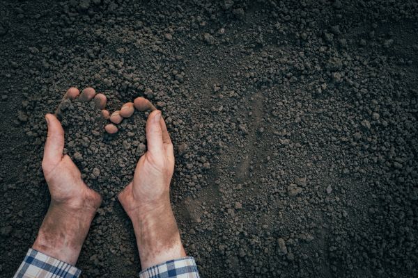 Soil Installation in Murrells Inlet