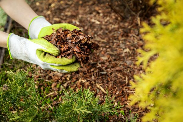 Garden Mulch Delivery in Murrells Inlet