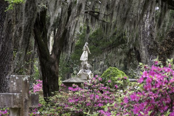 Cemetery Landscaping in Murrells Inlet