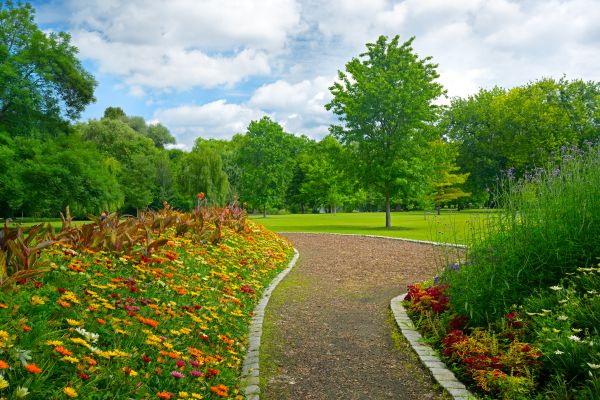 Park Landscaping in Murrells Inlet