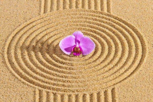 Sand Garden Landscaping in Murrells Inlet