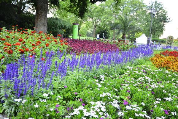Perennials Planting in Murrells Inlet