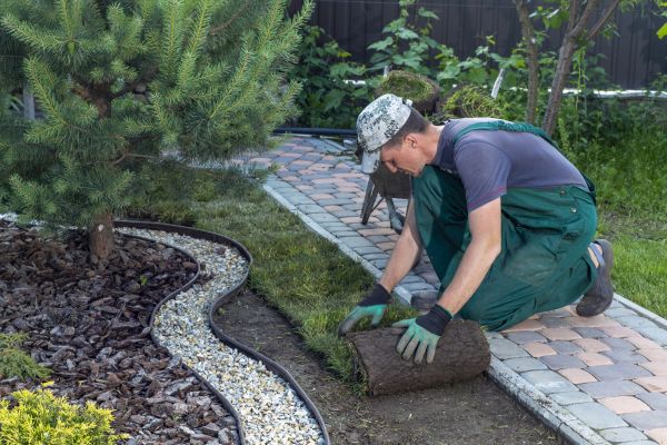 Landscaping Modification in Murrells Inlet