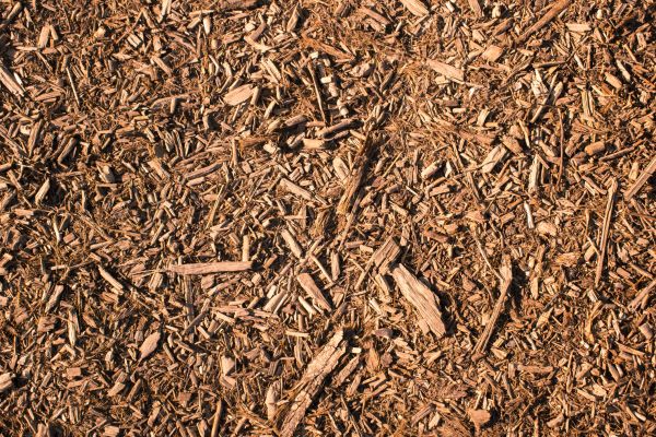 Wood Chips Removal in Murrells Inlet