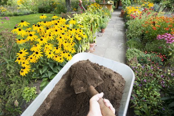 Topsoil Replacement in Murrells Inlet