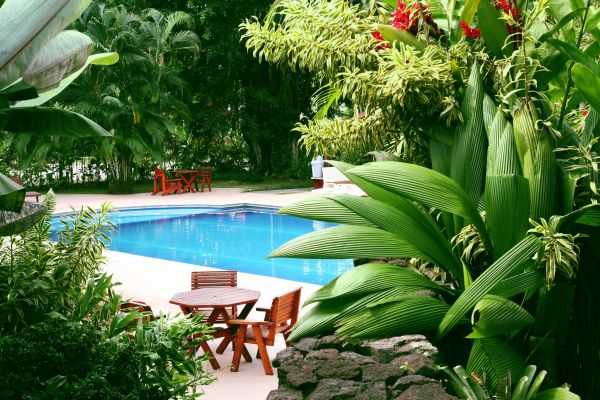 Pool Area Landscaping in Murrells Inlet