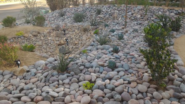 Yard Xeriscaping in Murrells Inlet