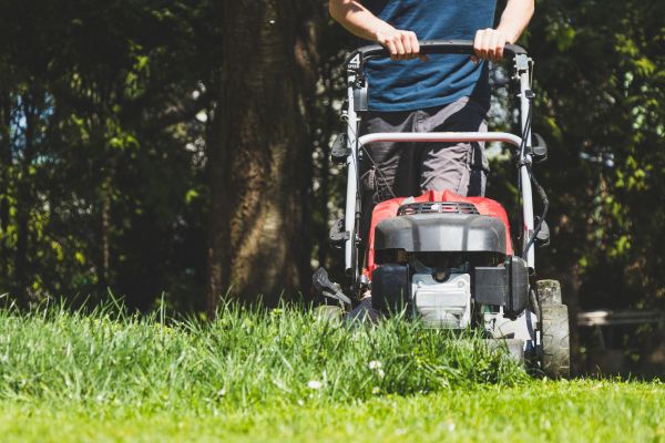 Garden Trimming Service in Murrells Inlet