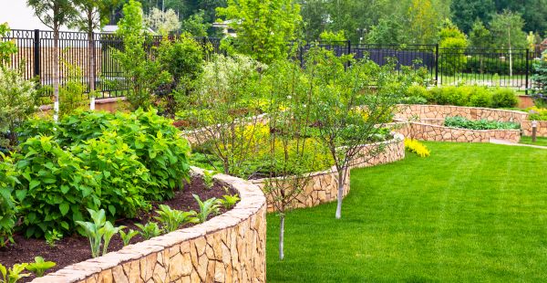 Yard Makeover Service in Murrells Inlet