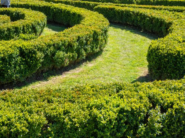 Bush Landscaping in Murrells Inlet