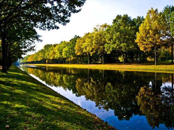 Bank Landscaping in Murrells Inlet