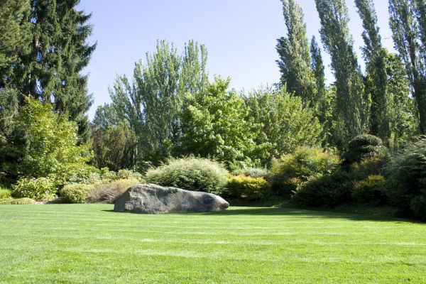 Yard Enlargement in Murrells Inlet