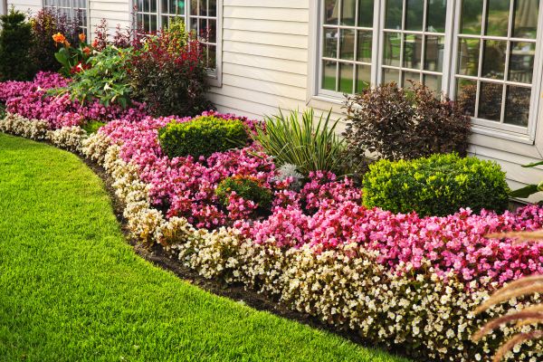 Garden Landscape Design in Murrells Inlet