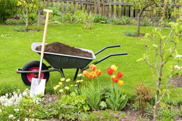 Spring Yard Renovation in Murrells Inlet