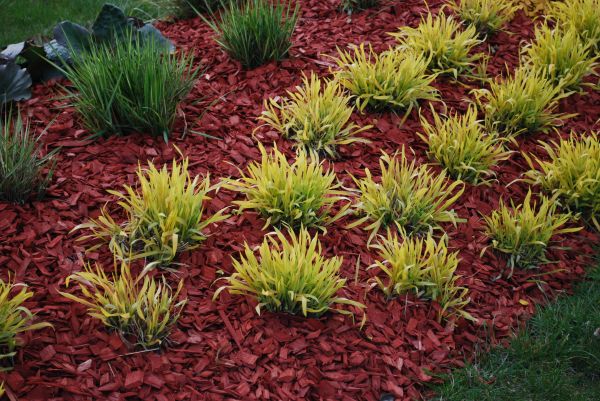 Red Mulch Installation in Murrells Inlet