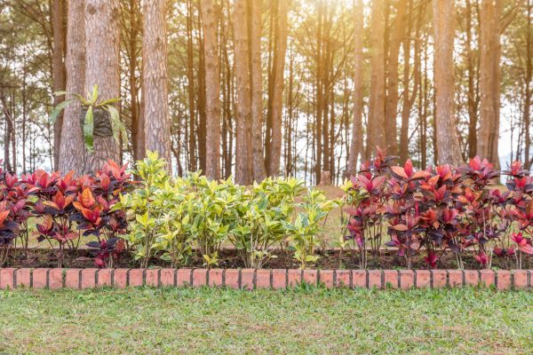 Small Garden Landscaping in Murrells Inlet