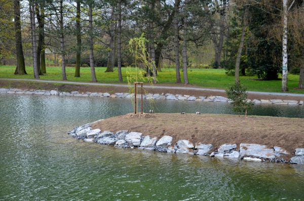 Pond Landscaping Service in Murrells Inlet