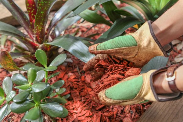 Residential Mulching in Murrells Inlet