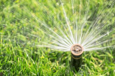 Winterizing Sprinkler Head