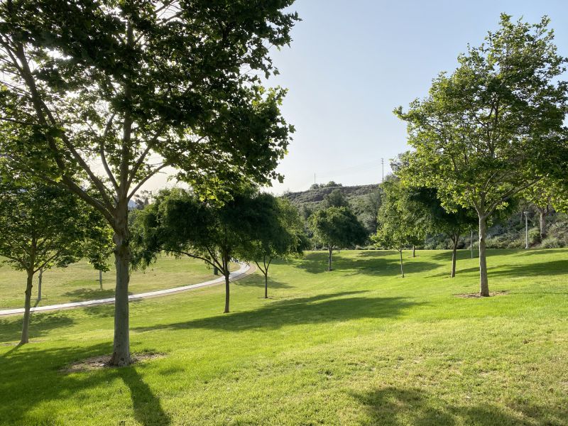 Park Landscape Maintenance