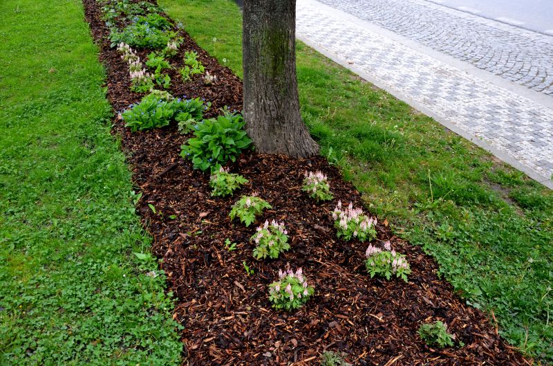 Plant Bed Mulching