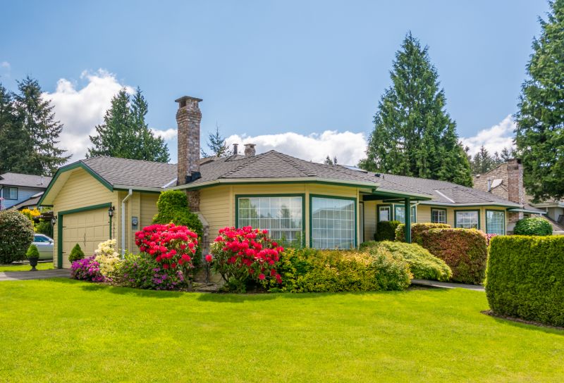 Spring Yard Renovation